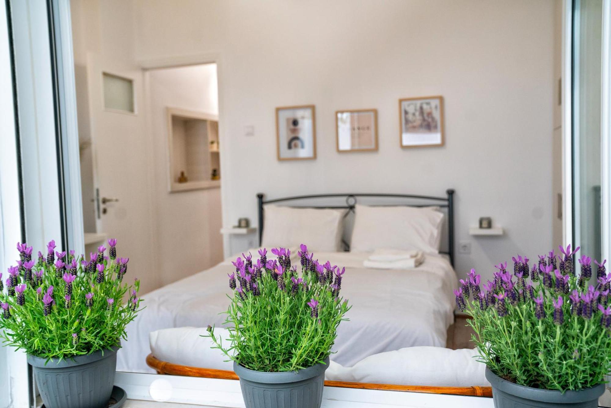 Lux Garden Apartment Near Acropolis In The Heart Of Athen Exterior foto